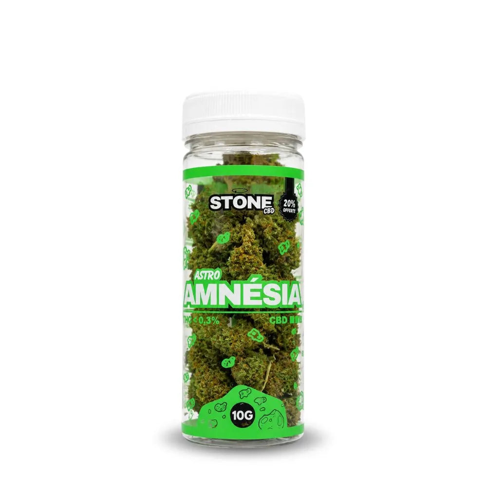 Fleur de CBD Small Bud Amnesia Stone CBD en pot transparent 10G – tête de cannabis CBD premium riche en terpènes, taux THC inférieur à 0,3 %, fleurs CBD légales indoor haute qualité