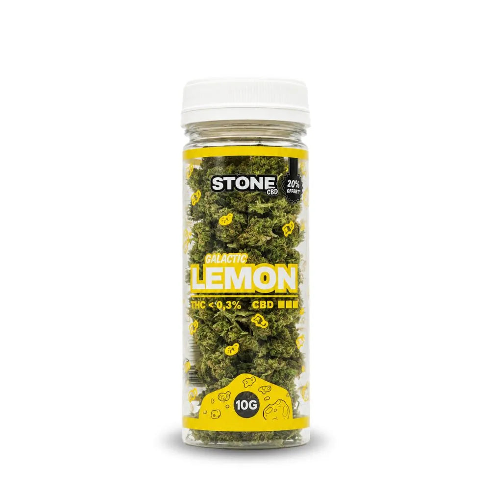Fleur de CBD Small Bud Lemon Haze Stone CBD en pot transparent 10G – tête de cannabis CBD premium riche en terpènes, taux THC inférieur à 0,3 %, fleurs CBD légales indoor greenhouse haute qualité