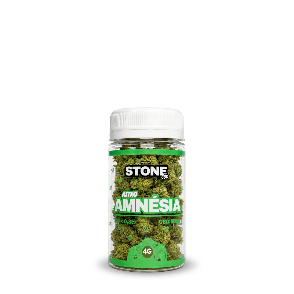 Mini Amnesia