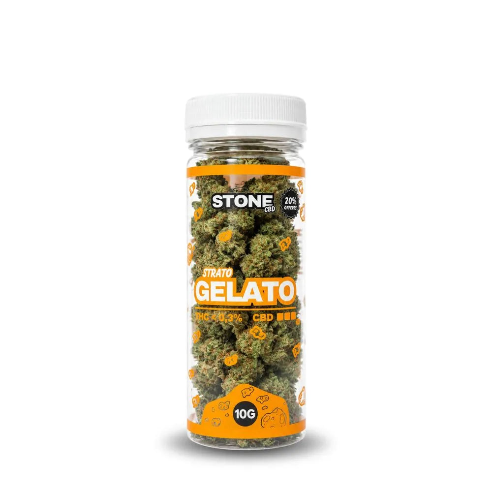 Fleur de CBD Small Bud Gelato Stone CBD en pot transparent 10G – tête de cannabis CBD premium riche en terpènes, taux THC inférieur à 0,3 %, fleurs CBD légales indoor haute qualité