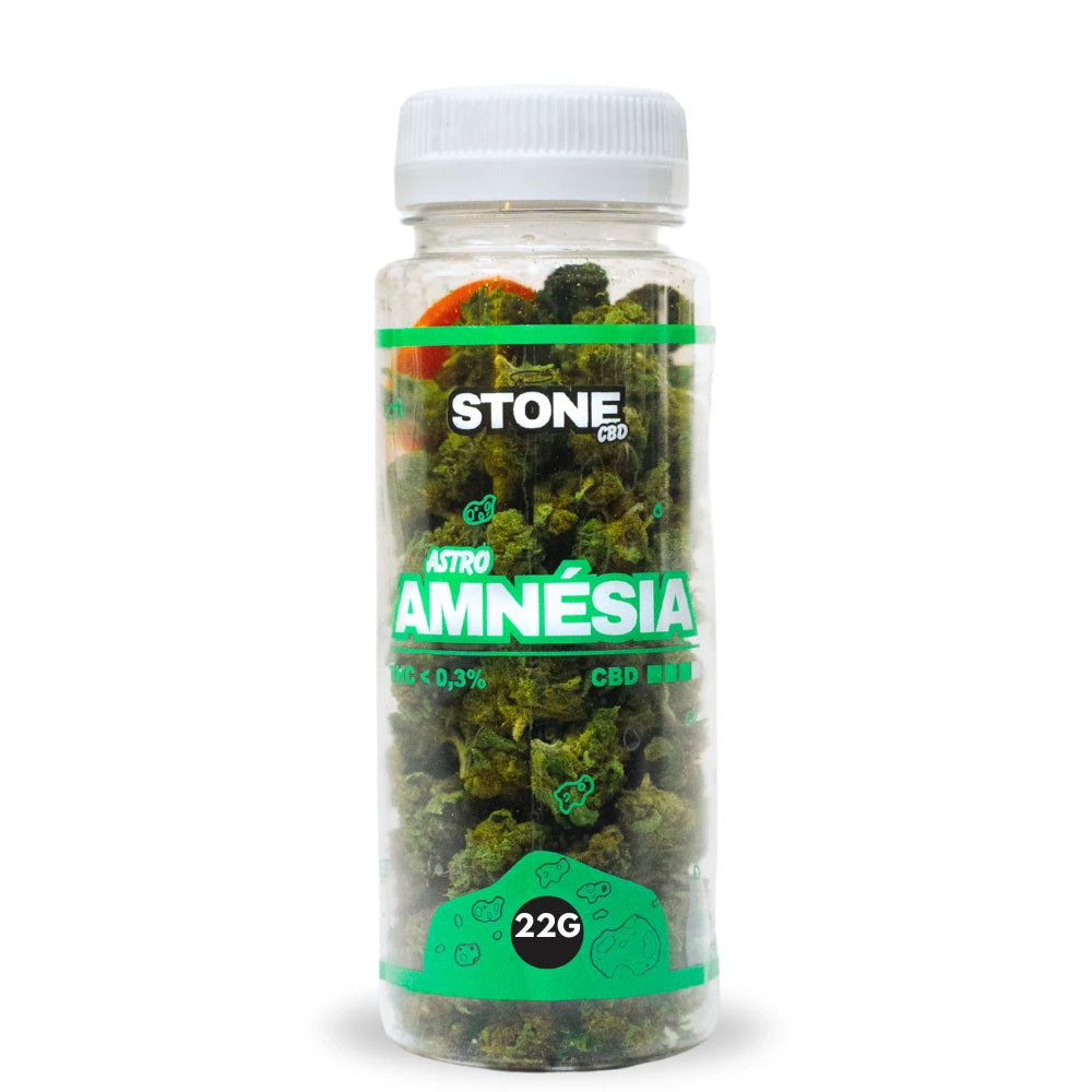 Amnesia XL