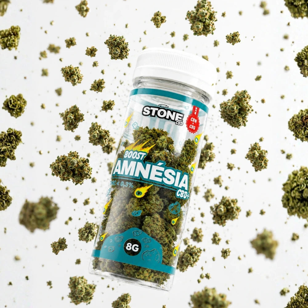 Amnesia Boost